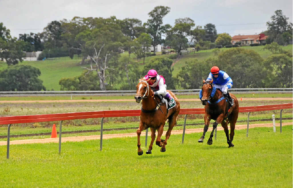 WHAT A RACE: Kenji Yoshida rides Warwick-trained Boot Shaker to victory in the Hynes Newsagency/Warwick Daily News Class 3 Plate 800m yesterday. WHAT A RACE: Kenji Yoshida rides Warwick-trained Boot Shaker to victory in the Hynes Newsagency/Warwick Daily News Class 3 Plate 800m yesterday.
